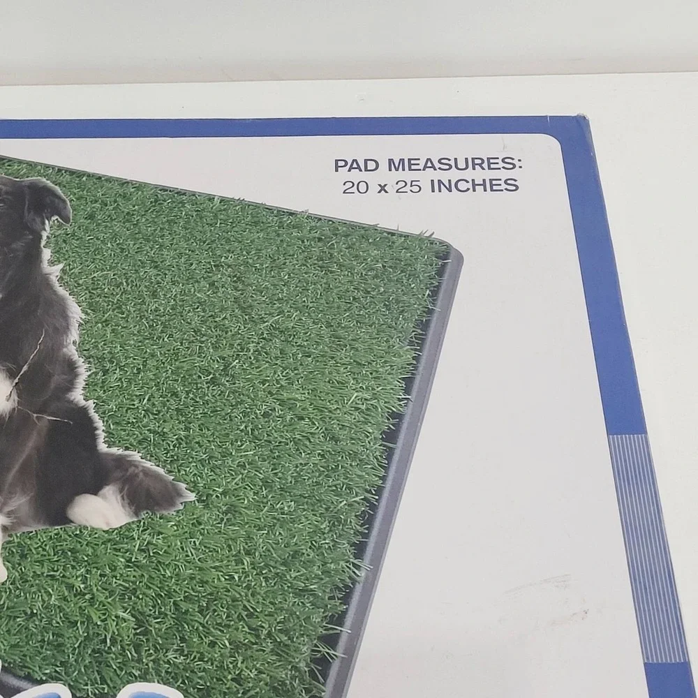 25x20